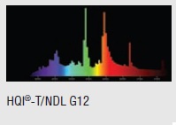  ������ ���� �����